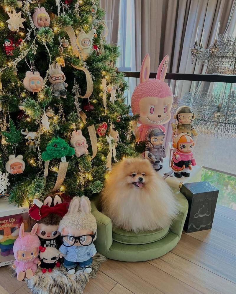 Instagram.com/chitthipbruschweiler